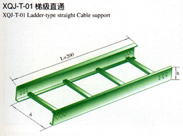 XQJ-T-01梯級直通